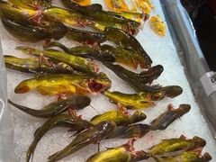 -罗二娘·鲜切牛自助火锅(罗湖东门步行街店)