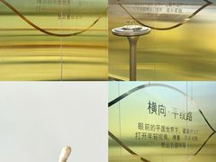 -上海港国际客运中心
