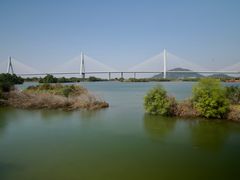 -芒洲湿地公园