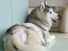 -怪兽屋·羊驼·猫咖·狗咖(俊华广场店)