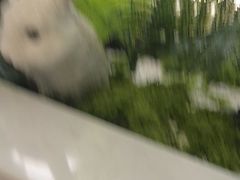 -纪林菜馆·博山菜老字号(华光路店)