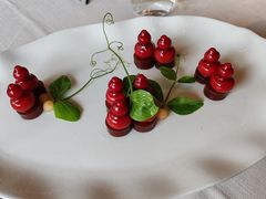 -蘇锦宴·淮扬菜烤鸭·小院(三元桥霄云路店)