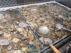 -半岛听涛蒸汽海鲜自助(K11店)