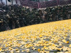-无锡惠山寺