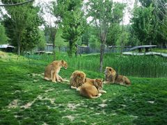 -北京野生动物园