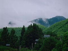 -莫干山风景区