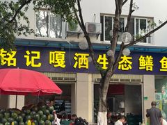 -铭记嘎洒生态鳝鱼(迎春街店)