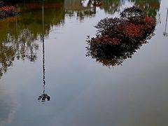 -汉江湾体育公园