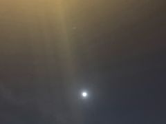 -正宗潮州鱼蛋粉(长寿西路店)