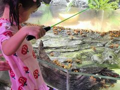 -正佳雨林生态植物园