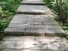 -汤旺河林海奇石景区