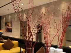-上海大宁福朋喜来登酒店大堂吧(共和新路店)