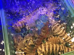 -垦丁辉哥生鱼片