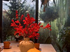 -自由生长植物工作室(深港花卉中心店)
