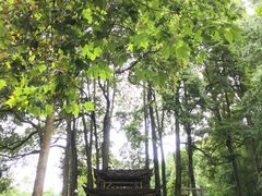 -青城山