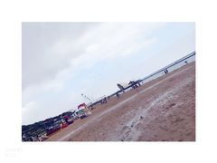 -碧海金沙