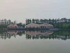 -上海长兴岛郊野公园