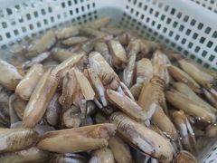 -南庄酒家·海鲜粤菜·25年老字号(环城南路店)