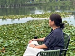 -白鹭湾湿地公园