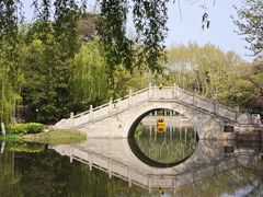 -泰州凤城河风景区-泰山公园