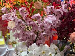 -一坐一忘云南菜(卓悦中心)