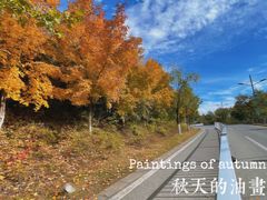 -龙庆峡风景区