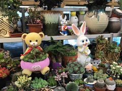 -双季花艺园艺市场(浦东店)