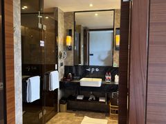 -河源万绿湖美思威尔顿酒店