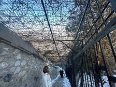 -香山公园