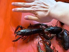 -中国盱眙国际龙虾节广场