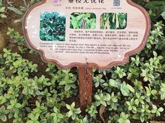 -南山植物园