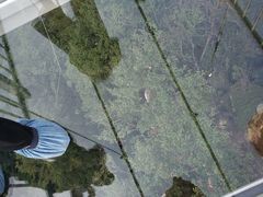 -丹东天桥沟景区