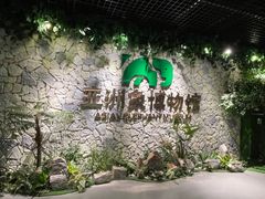-野象谷景区