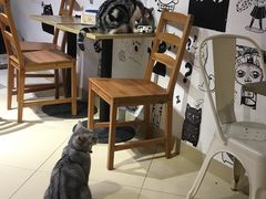 -小时光咖啡馆(开森度假森林店)