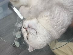 -M.S拳击泰拳馆(大学路店)