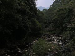 -广州市石门国家森林公园