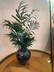 -Dr.林醫生产后修复·配方产康(南京江宁万达店)