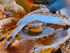 -兆辉木炭海鲜烧烤·海鲜小炒