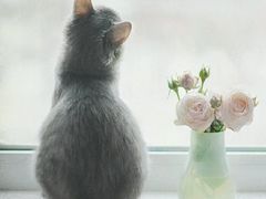 -老爆肚满五香烧牛羊肉