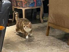 -咖法森林·咖啡  酒吧(天河店)