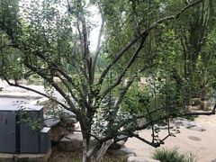 景观位-万柳阁小馆·花园餐厅(龙潭湖店)