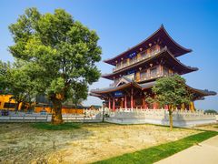 -溱湖国家湿地公园