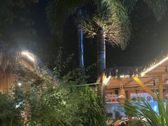 -茗情傣味