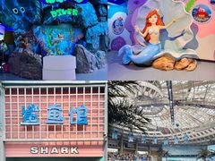 -海合安成都极地海洋公园