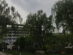 -西安国际创新人才交流中心•药浴温泉