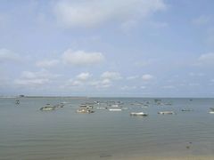 -北海金海湾红树林生态旅游区