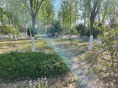 -永定河休闲森林公园