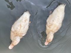 -南燕湾渔家码头