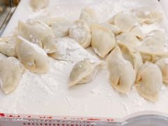 -熊大爷现包饺子(和平里店)