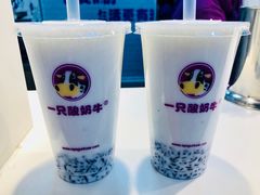 -一只酸奶牛(八一路店)